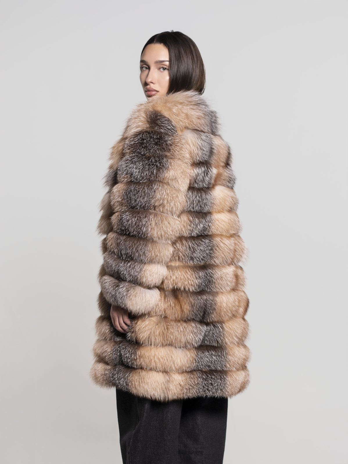 Model 6 în 1 vulpe canadiană